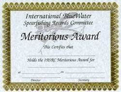 Meritorioud Award Winner